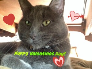 Happy Valentines Day